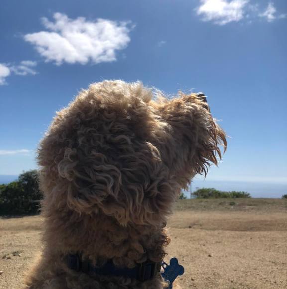 Meet your Posher, Jennifer - Picture 1 of 1